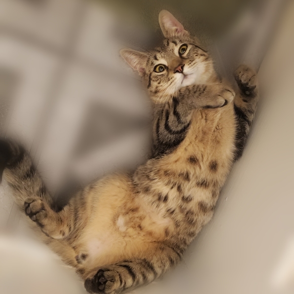 Meet your Posher, Glory - Picture 3 of 3